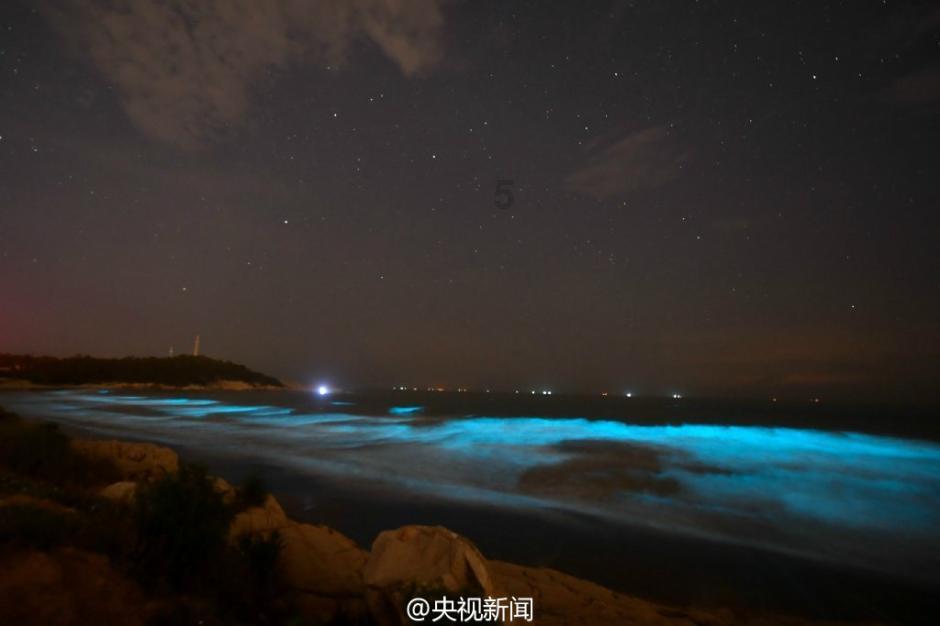 生菜炒饭怎么做好吃呢？游戏画面